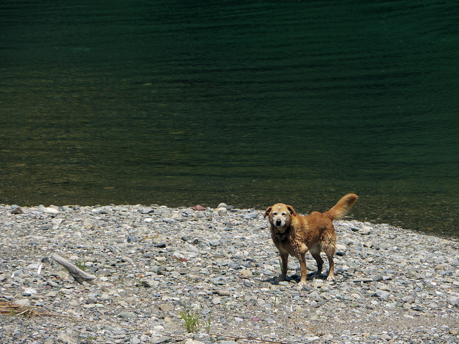 Hana’s Final Trip in Shikoku 02