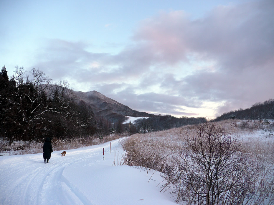 Hana Walks in the Snow